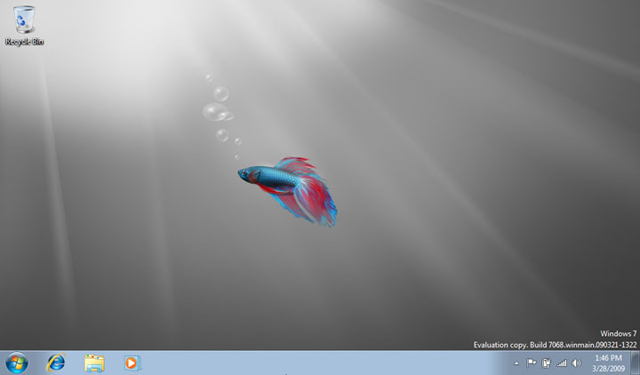 w7_starter_b7068