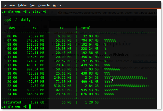 vnstat_day