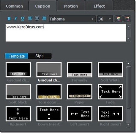 Wondershare Vivideo Caption