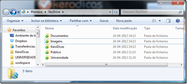 SkyDrive_KERODICAS_03